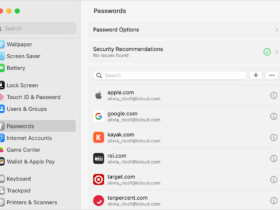 Mac OS Safari password manager